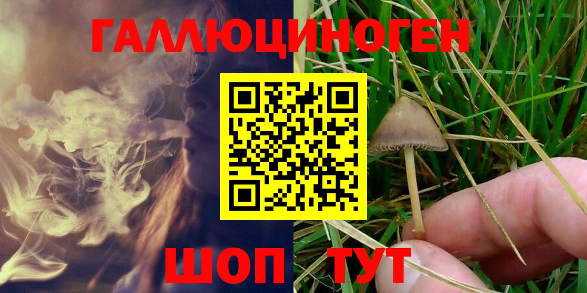 Галлюциногенные грибы Magic Shrooms Новоуральск