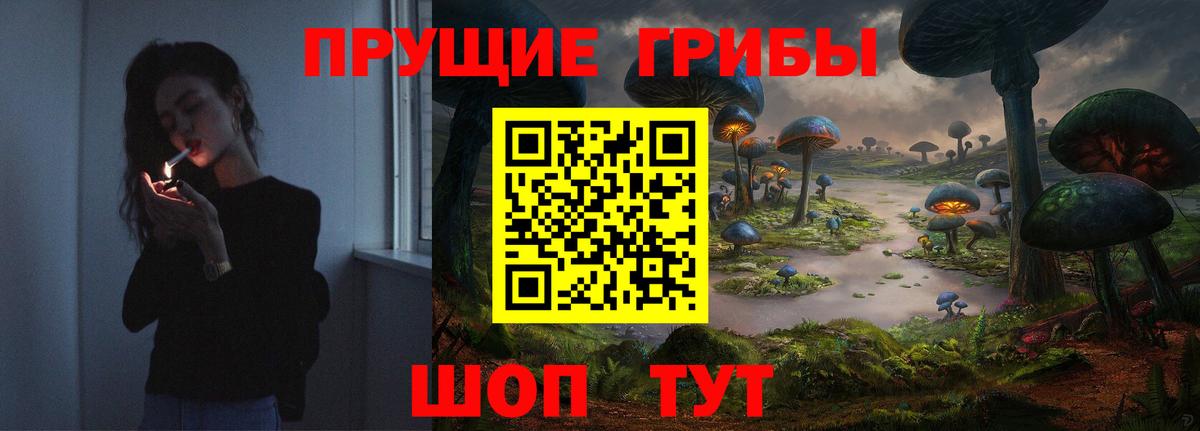 где найти   Вход с VPN  Псилоцибиновые грибы Psilocybe  Новоуральск  Галлюциногенные грибы Psilocybine cubensis 